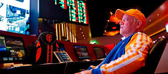 Вход на официальный сайт Casino Punch